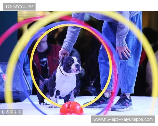 世界冠军与狗狗一起训练萌翻